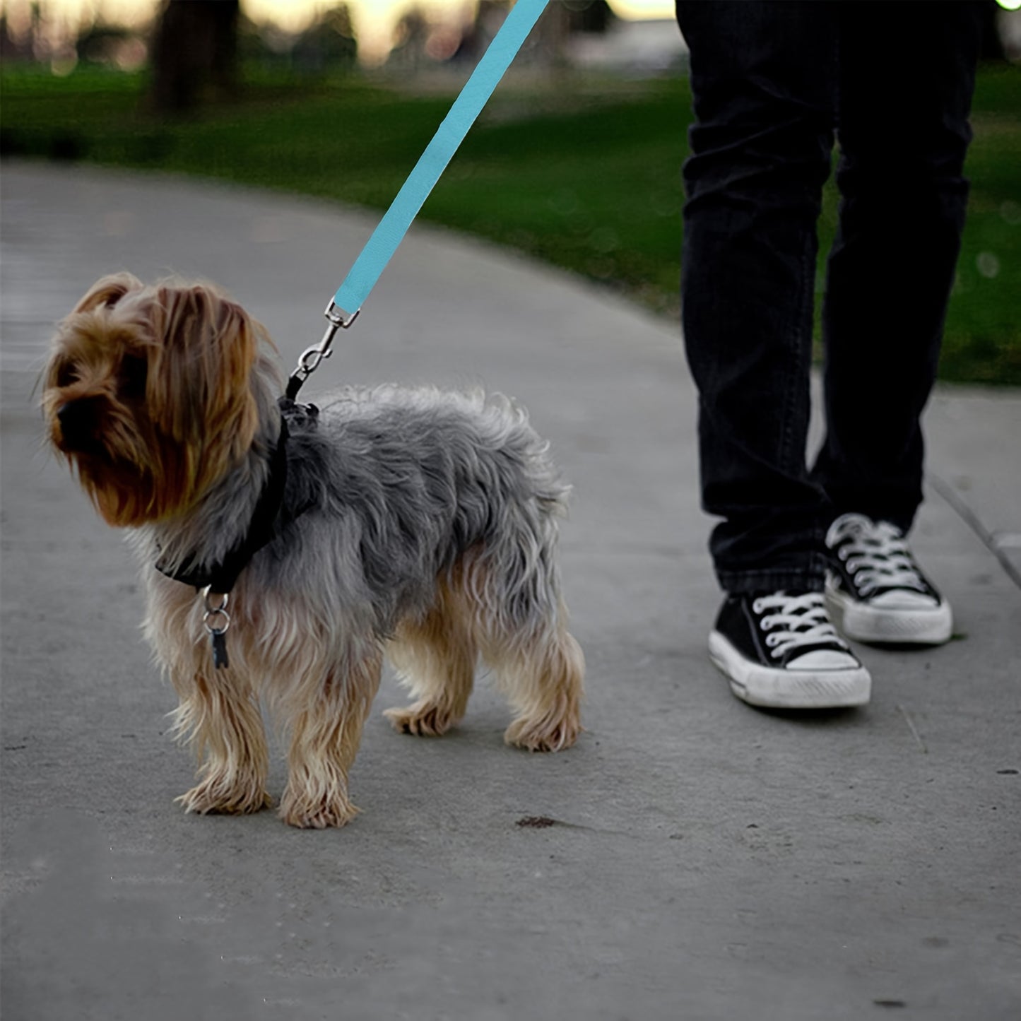 Rear Seat Retractable Harness - Adjustable Leash for Safe Travel - Keep Your Pet Secured and Comfortable