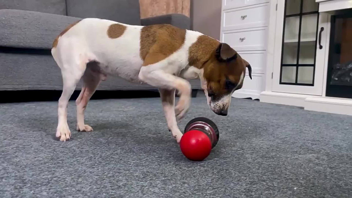 Interactive Adjustable Dispenser Toy. Keep Dogs Busy, Stimulates IQ, Slow Feeder for Boredom and Mental Stimulation